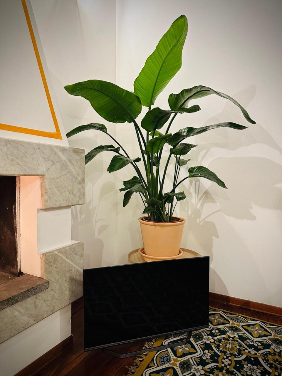 Wow House In Torino Apartment Ngoại thất bức ảnh